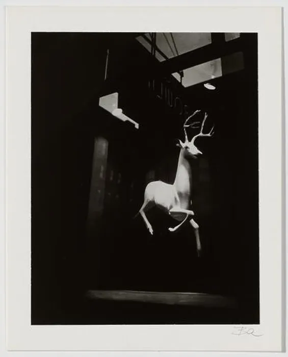 Framed Print : Berenice Abbott, An Industrial Designer's Window, Bleecker Street, New York, 1947, printed 1982, gelatin silver print Framed Print : Berenice Abbott, An Industrial Designer's Window, Bleecker Street, New York, 1947, printed 1982, gelatin silver print