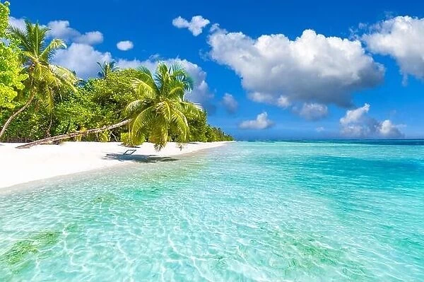 Best tropical beach landscape. Fantastic summer coast, vacation destination, palm trees, white sand, sunny sky. Freedom travel, amazing sea lagoon