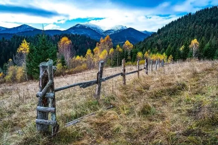 Framed Print : Bewitching beautiful summer landscape of a green meadow on a hill overlooking a dense coniferous forest