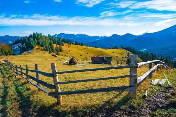 Framed Print : Bewitching beautiful summer landscape of a green meadow on a hill overlooking a dense coniferous forest Framed Print : Bewitching beautiful summer landscape of a green meadow on a hill overlooking a dense coniferous forest