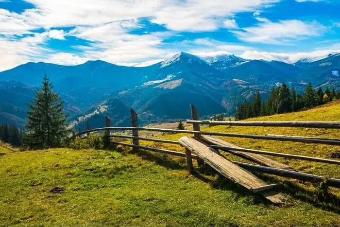 Framed Print : Bewitching beautiful summer landscape of a green meadow on a hill overlooking a dense coniferous forest Framed Print : Bewitching beautiful summer landscape of a green meadow on a hill overlooking a dense coniferous forest