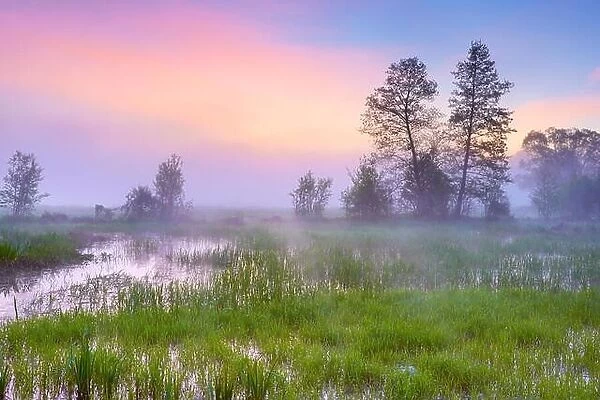 Biebrza National Park, sunrise landscape, Poland