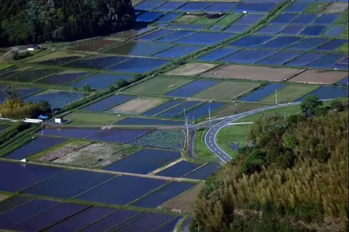 Framed Print : the big scale of fields in Ibaraki prefecture, near the Tokyo metropolitan area Framed Print : the big scale of fields in Ibaraki prefecture, near the Tokyo metropolitan area