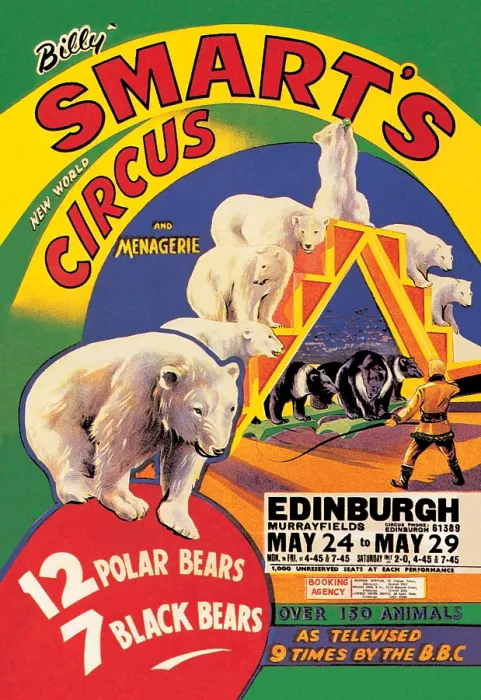 Framed Print : Billy Smart's New World Circus and Menagerie: 12 Polar Bears, 7 Black Bears Framed Print : Billy Smart's New World Circus and Menagerie: 12 Polar Bears, 7 Black Bears