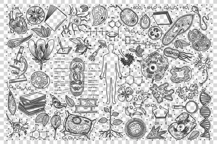 Framed Print : Biology doodle set Framed Print : Biology doodle set