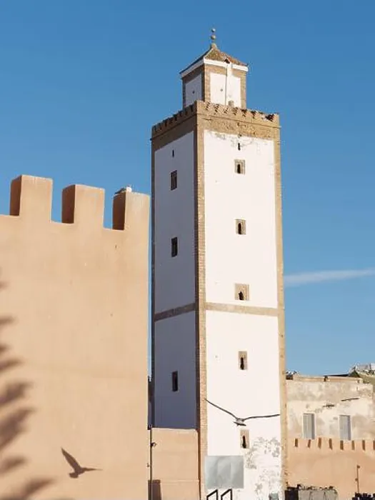 Framed Print : Bird casts a shadow beside a tower in the historic Medina in Essaouira, Morocco, Jan 28th 2024 Framed Print : Bird casts a shadow beside a tower in the historic Medina in Essaouira, Morocco, Jan 28th 2024