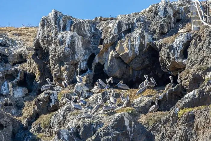 Framed Print : Bird Rocks in Channel Islands, California Framed Print : Bird Rocks in Channel Islands, California