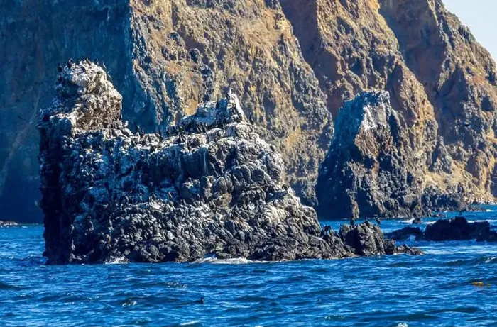 Framed Print : Bird Rocks in Channel Islands, California Framed Print : Bird Rocks in Channel Islands, California