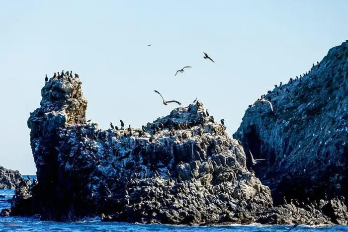 Framed Print : Bird Rocks in Channel Islands, California Framed Print : Bird Rocks in Channel Islands, California