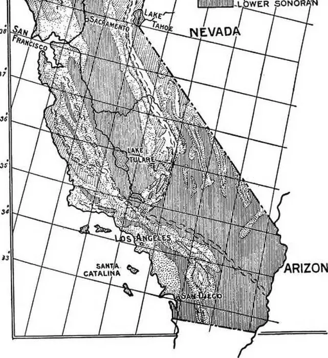 Framed Print : Birds of California; an introduction to more than three hundred common birds of the state and adjacent islands Framed Print : Birds of California; an introduction to more than three hundred common birds of the state and adjacent islands
