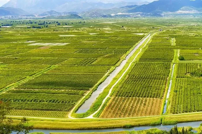 Framed Print : A birds eye view of a meandering river flowing through a verdant field with a variety of plant life Framed Print : A birds eye view of a meandering river flowing through a verdant field with a variety of plant life