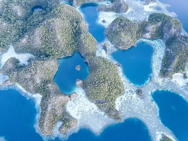 A bird's eye view shows dramatic limestone islands surrounding coral reefs in the peaceful, tropical seascape in Raja Ampat, Indonesia