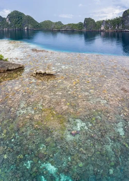 Framed Print : A bird's eye view shows healthy reefs surrounding remote limestone islands in Raja Ampat. This area is known for its incredible marine biodiversity