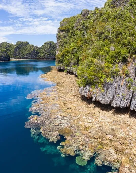Framed Print : A bird's eye view shows healthy reefs surrounding remote limestone islands in Raja Ampat. This area is known for its incredible marine biodiversity Framed Print : A bird's eye view shows healthy reefs surrounding remote limestone islands in Raja Ampat. This area is known for its incredible marine biodiversity