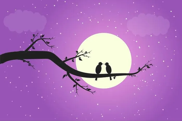 Framed Print : Two birds in love on a branch in the moonlight shadow Framed Print : Two birds in love on a branch in the moonlight shadow