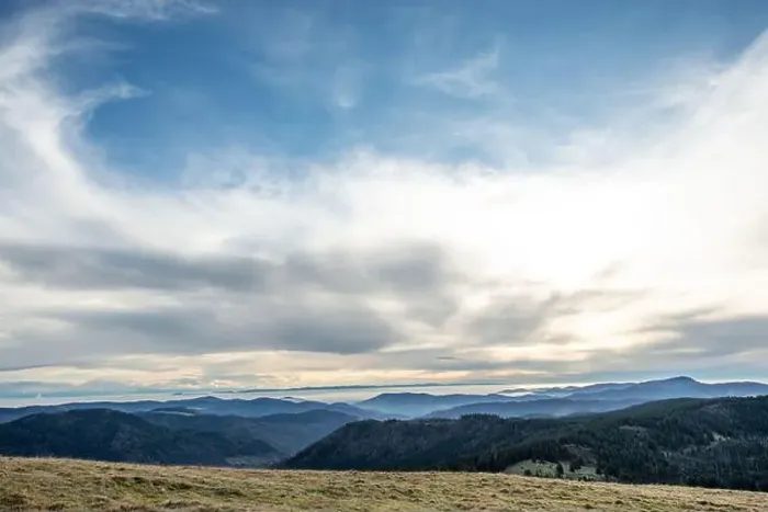 Framed Print : Black Forest Landscape Framed Print : Black Forest Landscape