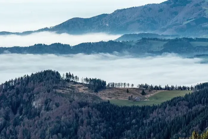 Framed Print : Black Forest Landscape Framed Print : Black Forest Landscape