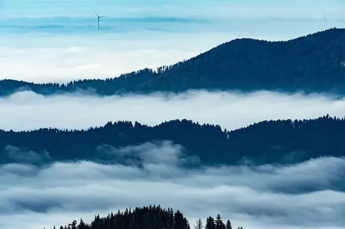 Framed Print : Black Forest Landscape Framed Print : Black Forest Landscape