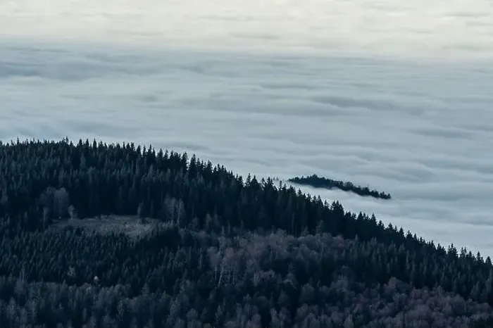 Framed Print : Black Forest Landscape Framed Print : Black Forest Landscape
