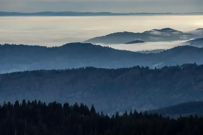 Framed Print : Black Forest Landscape Framed Print : Black Forest Landscape