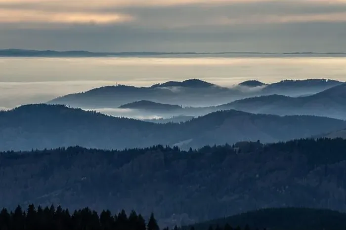 Framed Print : Black Forest Landscape Framed Print : Black Forest Landscape