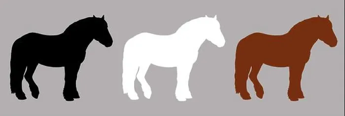 Framed Print : Black, white and brown silhouette of the draft horse. Equine drawing Framed Print : Black, white and brown silhouette of the draft horse. Equine drawing