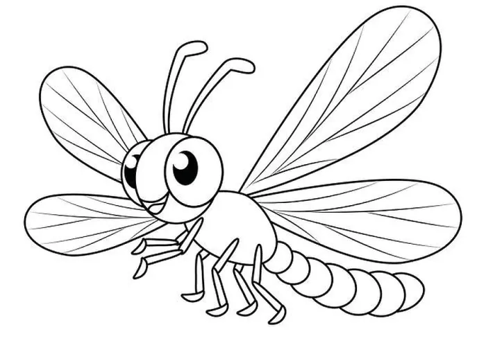 Framed Print : Black and White Cartoon Dragonfly Vector Flat Design. Coloring Pages Framed Print : Black and White Cartoon Dragonfly Vector Flat Design. Coloring Pages