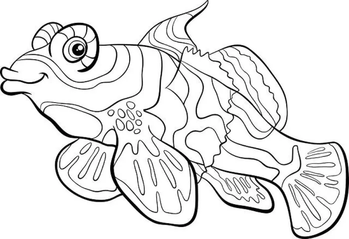 Framed Print : Black and White Cartoon Illustration of Mandarin Fish Sea Life Animal Character Coloring Page Framed Print : Black and White Cartoon Illustration of Mandarin Fish Sea Life Animal Character Coloring Page