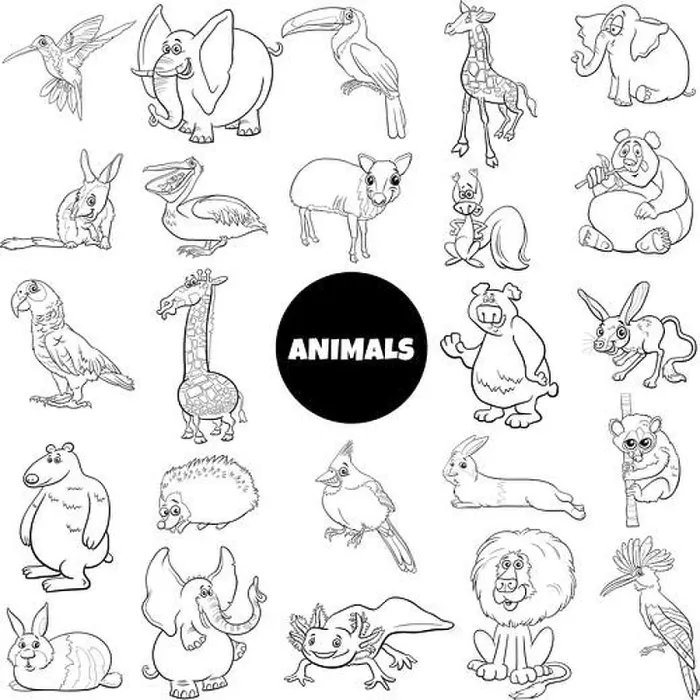 Framed Print : Black and white cartoon illustration of wild animal species characters big set Framed Print : Black and white cartoon illustration of wild animal species characters big set