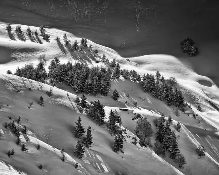 Framed Print : Black and white drone view of forest with evergreen trees growing on snowy slope in highlands in winter Framed Print : Black and white drone view of forest with evergreen trees growing on snowy slope in highlands in winter