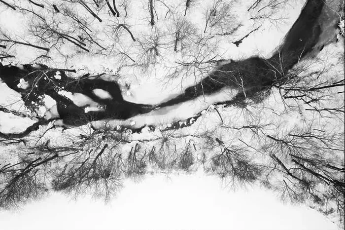 Framed Print : A black and white image of Gurthrie creek in Jackson County Framed Print : A black and white image of Gurthrie creek in Jackson County