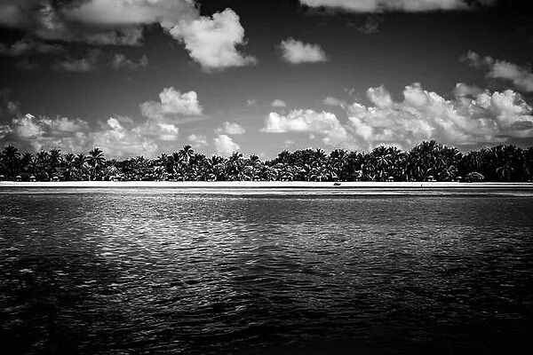 Black and white image of tropical beach. Tropical island landscape, cloudy sky, idyllic exotic landscape. Summer travel vacation