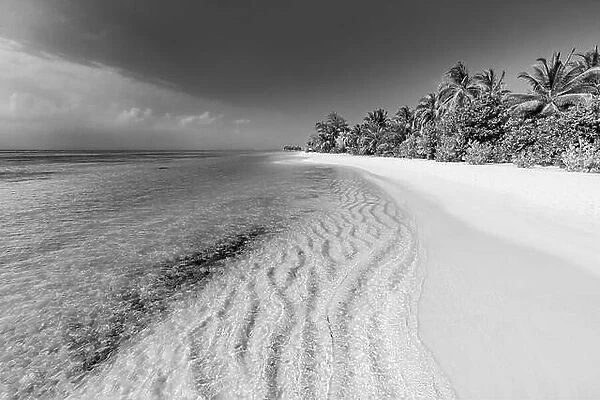 Black and white image of tropical beach. Coast of tropical island. Black-white photo