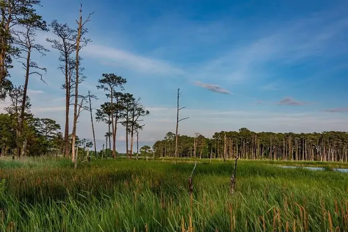 Framed Print : Blackwater NWR under a Beautiful Evening Sky, Maryland USA Framed Print : Blackwater NWR under a Beautiful Evening Sky, Maryland USA