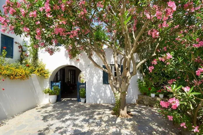 Framed Print : Blooming flowers in Mykonos Town, Chora - Mykonos Island, Greece Framed Print : Blooming flowers in Mykonos Town, Chora - Mykonos Island, Greece