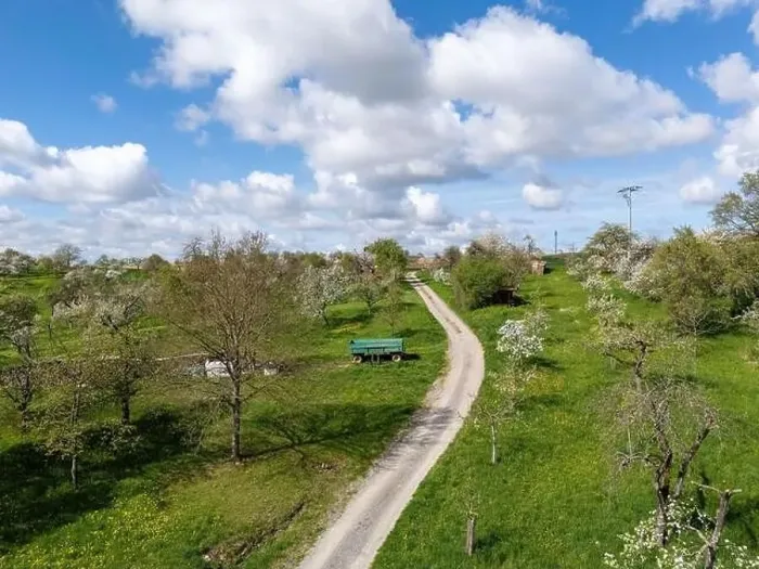 Framed Print : Blooming fruit trees and fields shot with drone in spring Framed Print : Blooming fruit trees and fields shot with drone in spring
