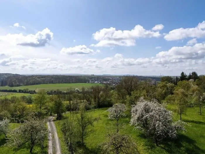 Framed Print : Blooming fruit trees and fields shot with drone in spring Framed Print : Blooming fruit trees and fields shot with drone in spring