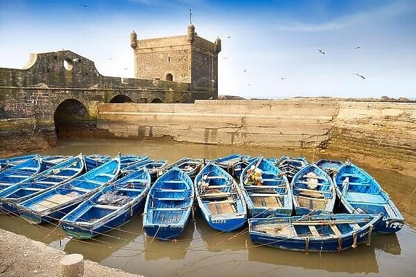 Blue fishing boats in the harbour of Essaouira, Morocco