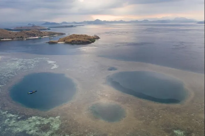 Framed Print : Blue holes are found amid a shallow reef flat on the island of Sebayor in Komodo National Park, Indonesia. These blue holes formed as sink holes Framed Print : Blue holes are found amid a shallow reef flat on the island of Sebayor in Komodo National Park, Indonesia. These blue holes formed as sink holes
