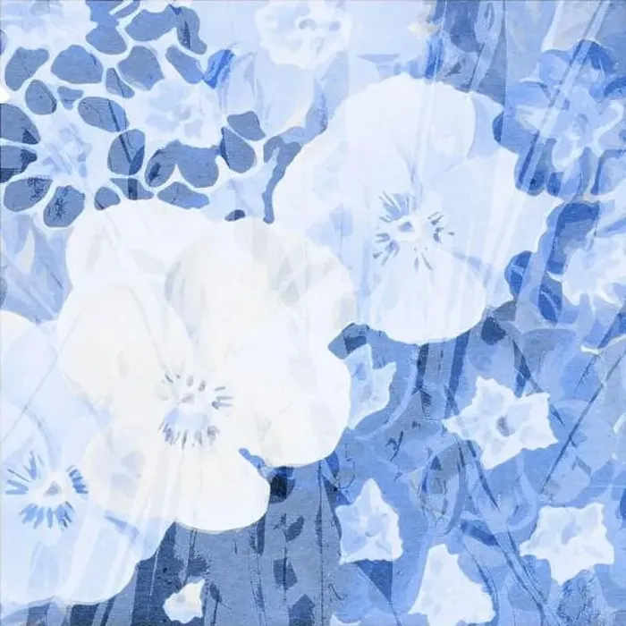 Framed Print : Blue-toned square floral art, digitally created Framed Print : Blue-toned square floral art, digitally created