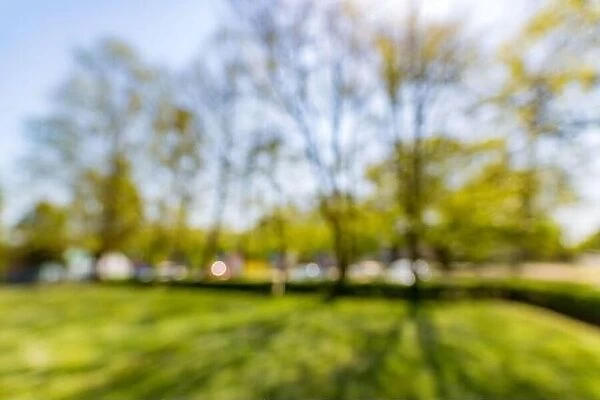 Blur park with sun light abstract background