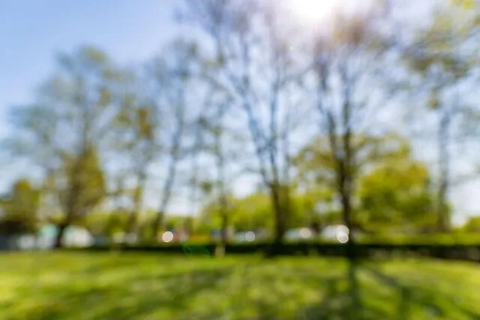 Framed Print : Blur park with sun light abstract background Framed Print : Blur park with sun light abstract background