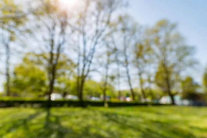 Framed Print : Blur park with sun light abstract background Framed Print : Blur park with sun light abstract background