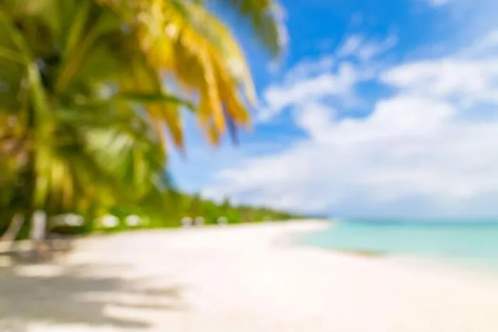 Framed Print : Blurred beach with palm leaf over white sand. Tropical nature pattern, bokeh sea view as exotic landscape, summer scene with copy space Framed Print : Blurred beach with palm leaf over white sand. Tropical nature pattern, bokeh sea view as exotic landscape, summer scene with copy space