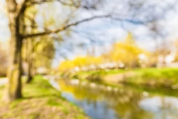 Blurred park garden tree and river in nature background, blurry green bokeh light outdoor in spring background
