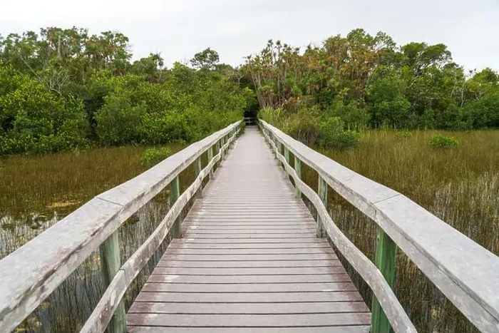 Framed Print : A Boardwalk at Everglades National Park, Florida, United States Framed Print : A Boardwalk at Everglades National Park, Florida, United States