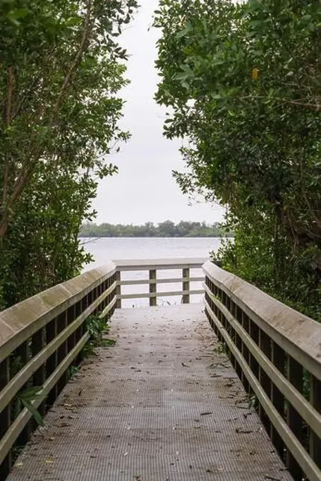 Framed Print : A Boardwalk at Everglades National Park, Florida, United States Framed Print : A Boardwalk at Everglades National Park, Florida, United States