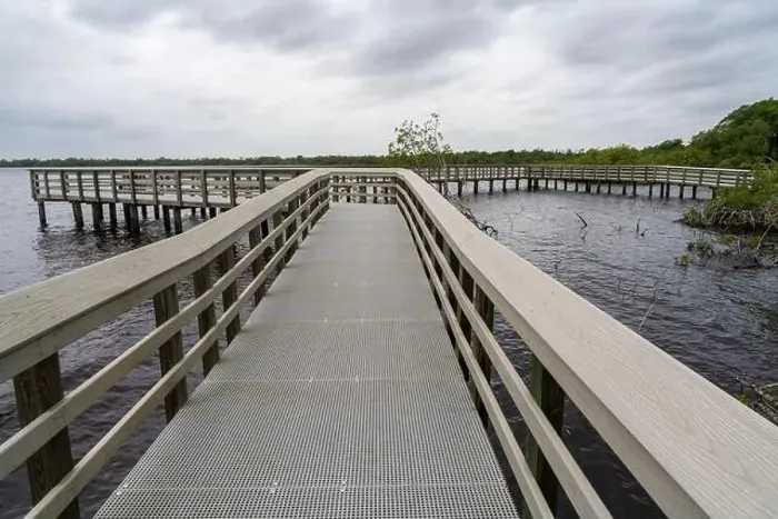 Framed Print : A Boardwalk at Everglades National Park, Florida, United States Framed Print : A Boardwalk at Everglades National Park, Florida, United States