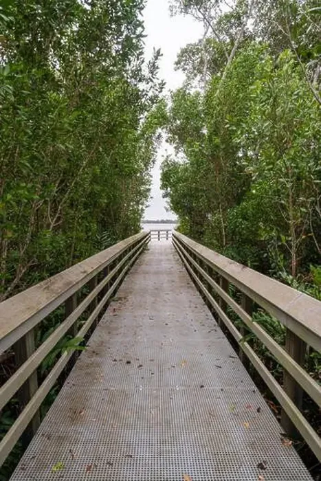 Framed Print : A Boardwalk at Everglades National Park, Florida, United States Framed Print : A Boardwalk at Everglades National Park, Florida, United States