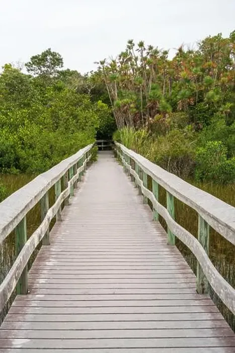 Framed Print : A Boardwalk at Everglades National Park, Florida, United States Framed Print : A Boardwalk at Everglades National Park, Florida, United States